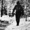 wvsasquatch